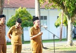 Oplus_131072